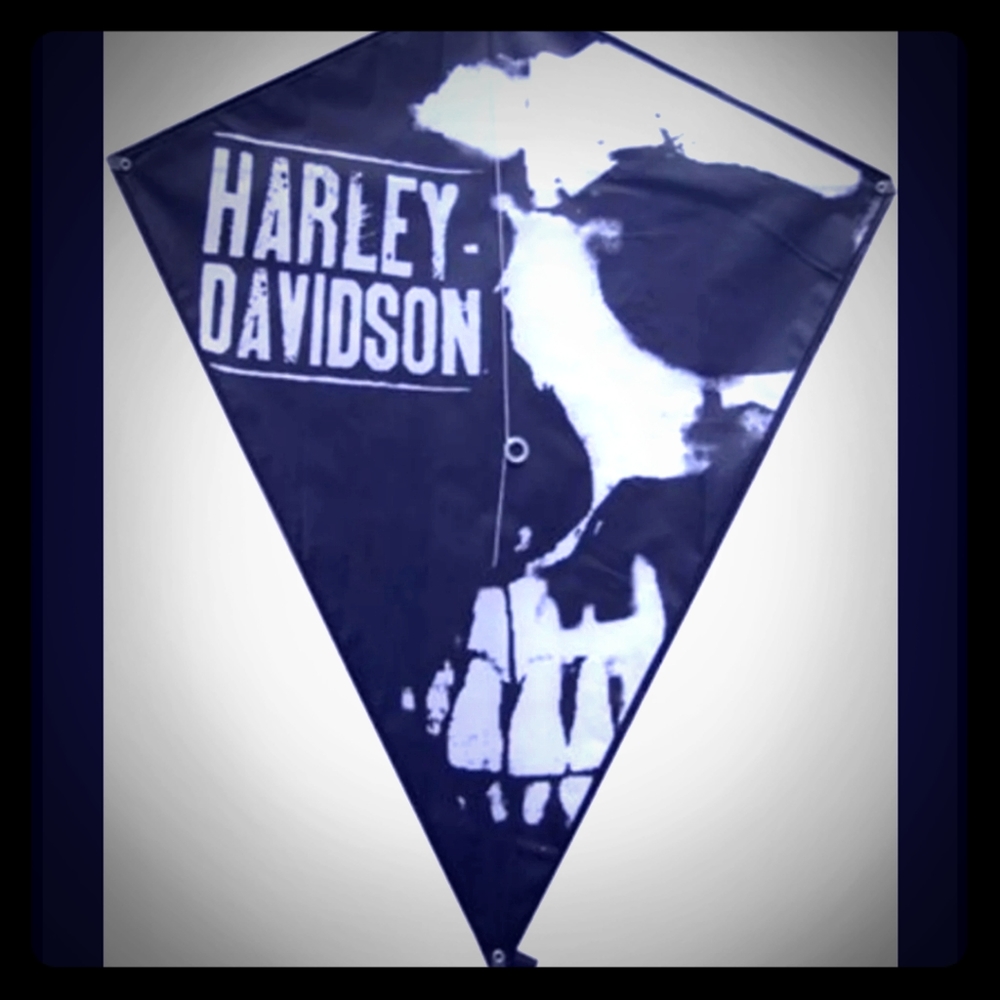 Vintage 80s Harley Davidson skull kite